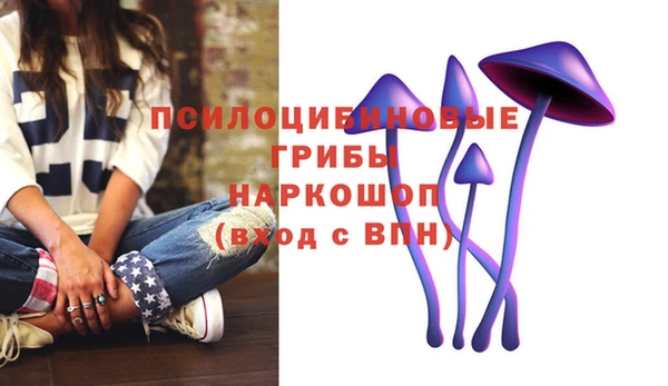не бодяженный Горняк